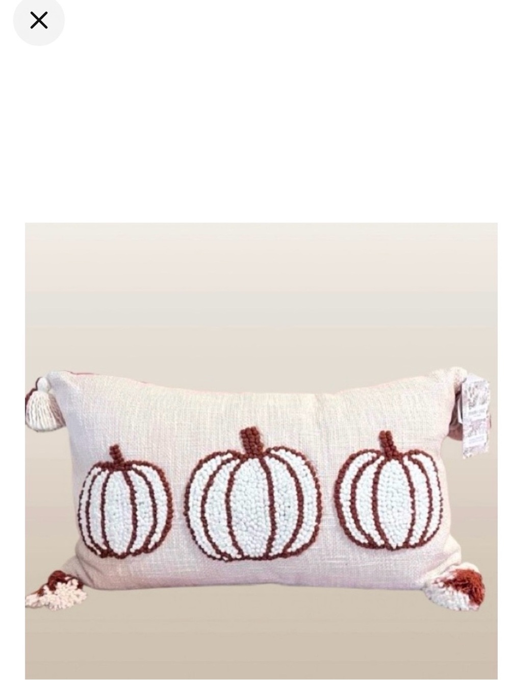 🆕- Shabby Chic Embroidered Pumpkin Trio
Neutral Fall Pillow.